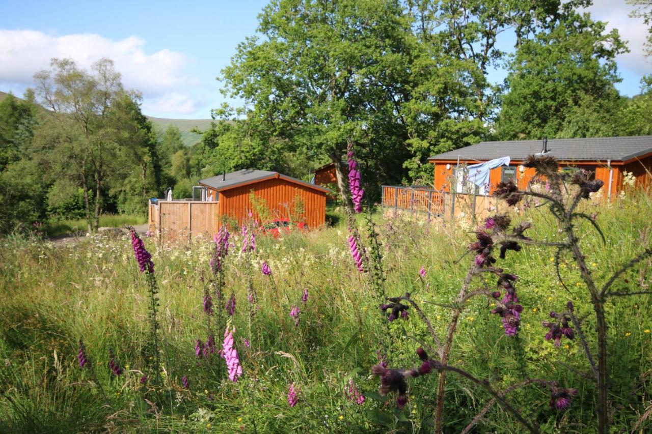 Balquhidder Braes Holiday Park Lodges, Mostly With Hot Tubs And Pet Friendly, Ev Facilities Lochearnhead Eksteriør bilde