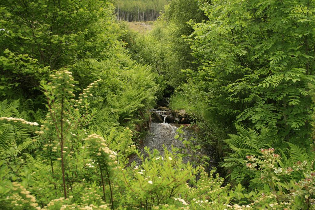 Balquhidder Braes Holiday Park Lodges, Mostly With Hot Tubs And Pet Friendly, Ev Facilities Lochearnhead Eksteriør bilde