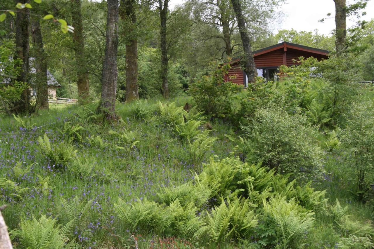 Balquhidder Braes Holiday Park Lodges, Mostly With Hot Tubs And Pet Friendly, Ev Facilities Lochearnhead Eksteriør bilde